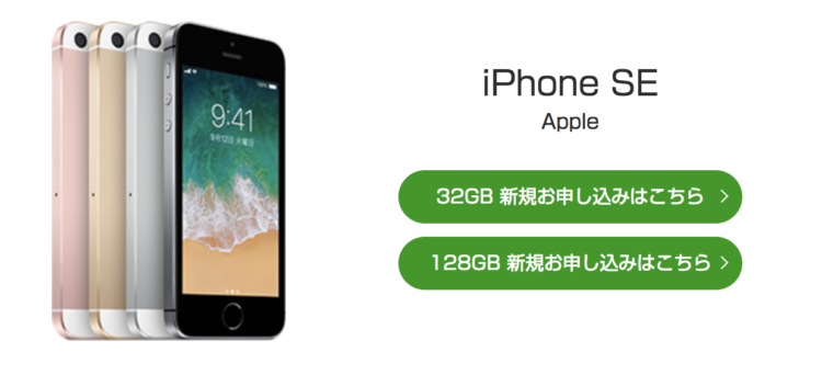 iPhoneSE購入画面